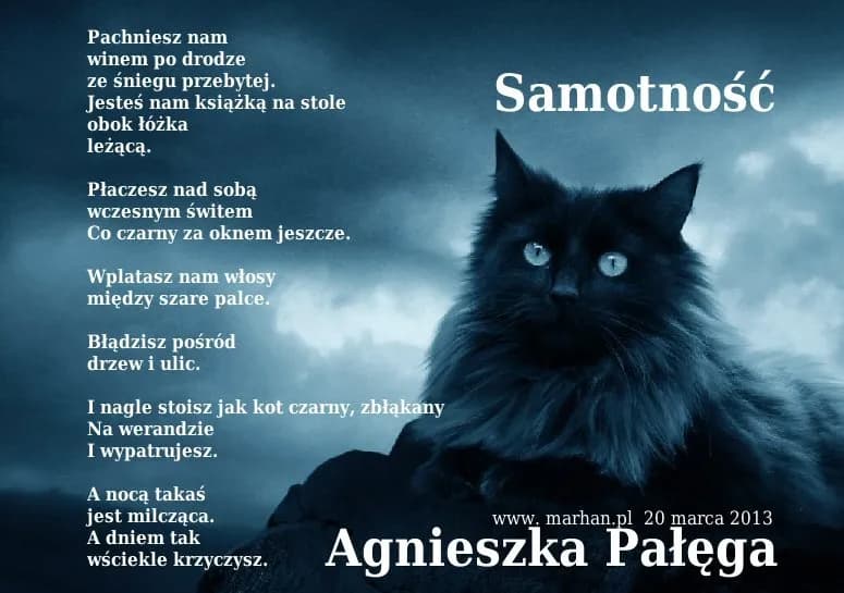 Samotność wiersz - analiza poezji o osamotnieniu i jej emocjach